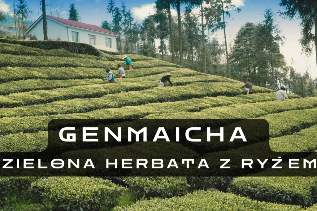 Genmaicha