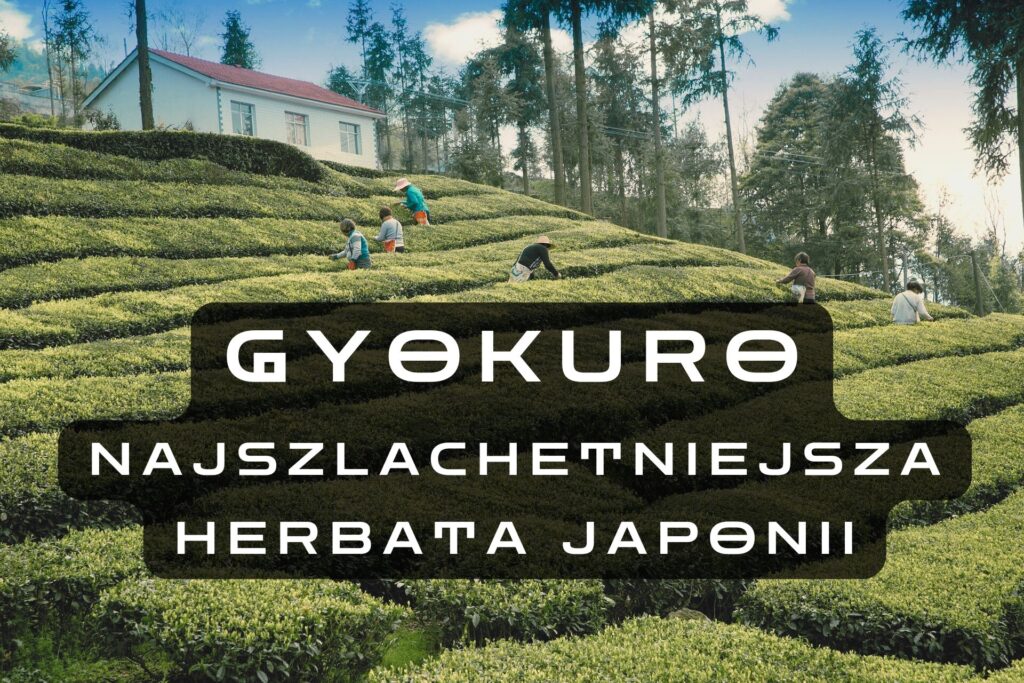 Gyokuro
