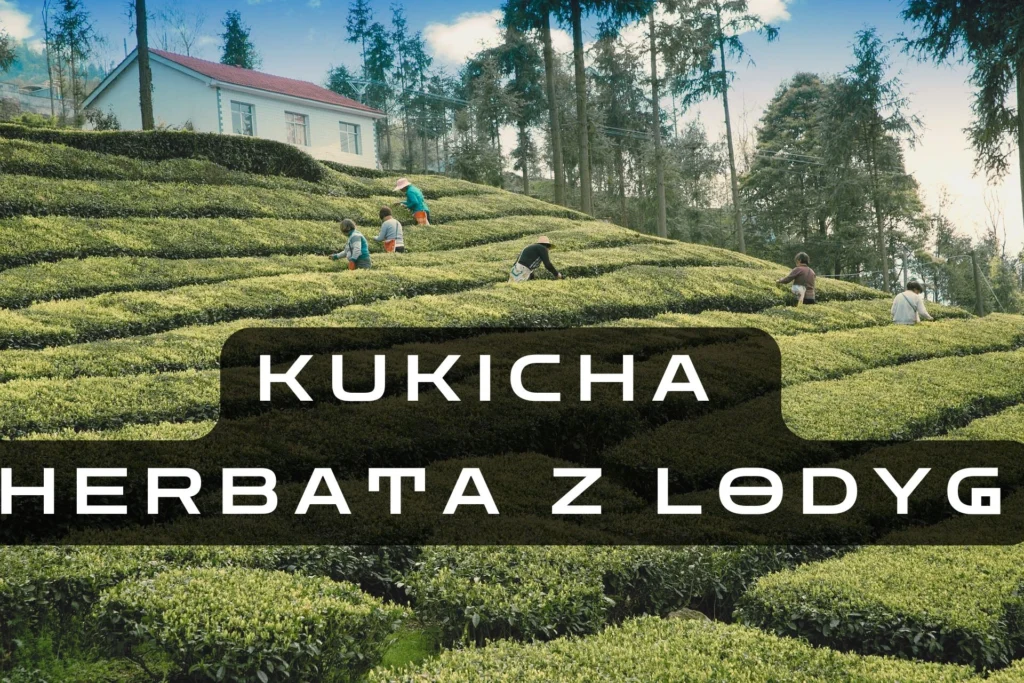 Kukicha